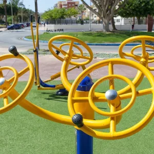 Outdoor Gym Tai Chi Spinner 2
