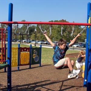Playground Monkey Bars
