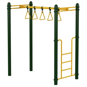 Playground Monkey Bars 4