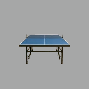 Table Tennis (Club Model)