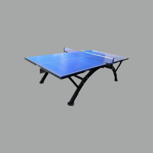 Table Tennis (Professional Model)